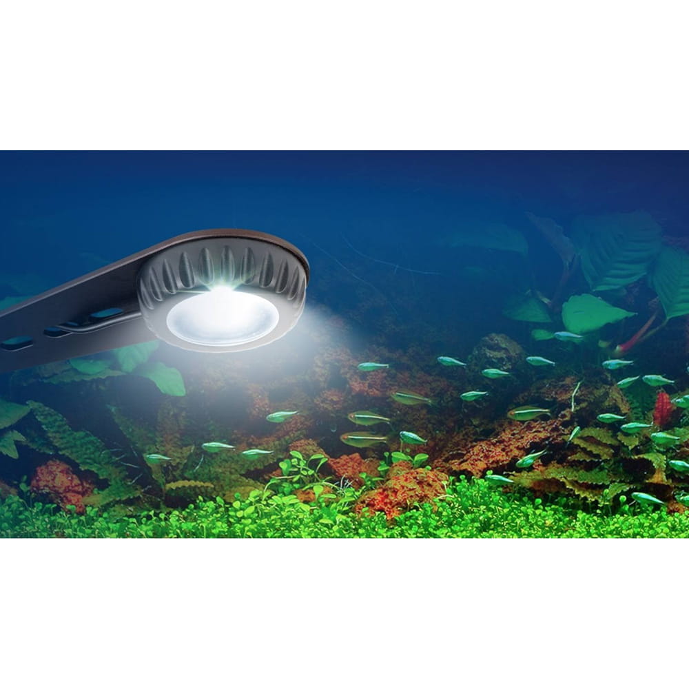 Fluval C.O.B LED 6,5W Lampka do akwarium słodkowodnego i morskiego